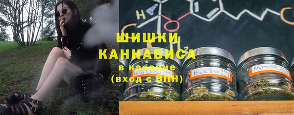 ешки Гатчина