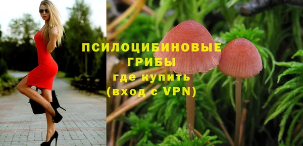 стафф Нязепетровск