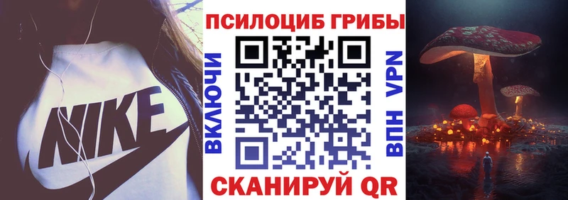 где найти   Покровск  mega онион  Псилоцибиновые грибы ЛСД 